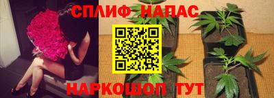 тгк Балаково