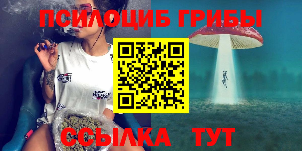 Псилоцибиновые грибы Cubensis Ессентуки