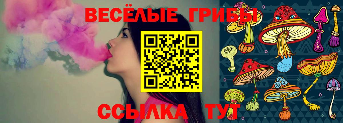 Псилоцибиновые грибы GOLDEN TEACHER  Вход с VPN  Ессентуки 